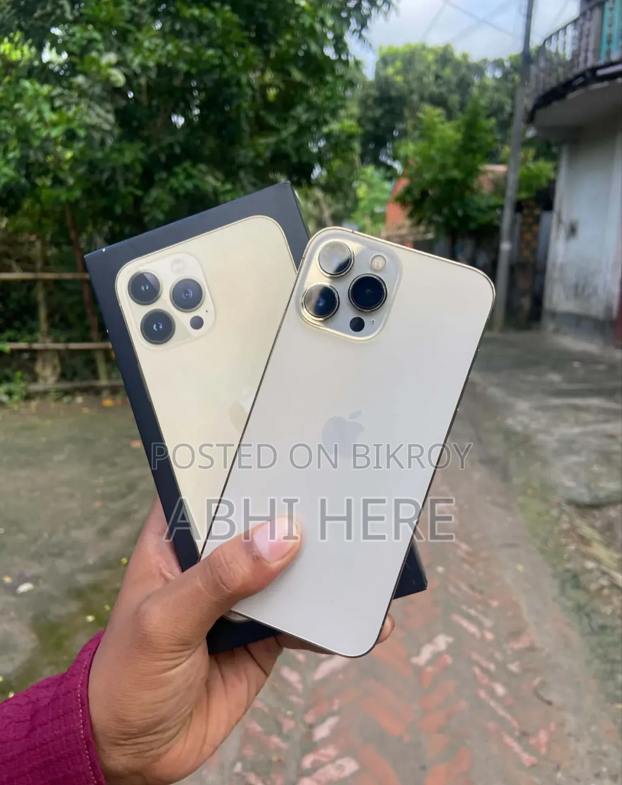 অ্যাপল আইফোন ১৩ প্রো ম্যাক্স ২৫৬ জিবি গোল্ড