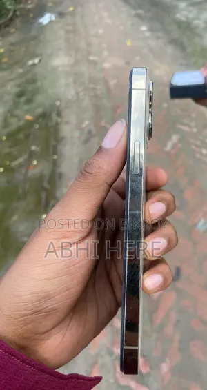 অ্যাপল আইফোন ১৩ প্রো ম্যাক্স ২৫৬ জিবি গোল্ড