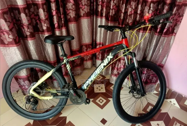Phoenix Cool Pro (Gear Cycle)
