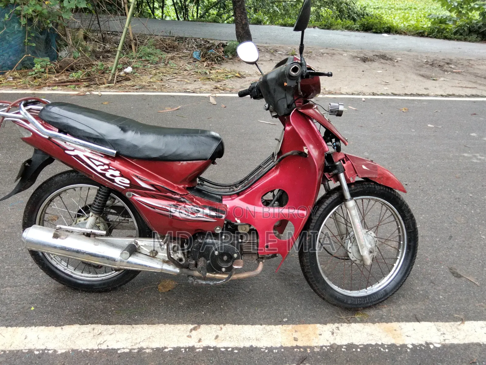 রানার বুলেট ১০০ ২০১৭ রেড