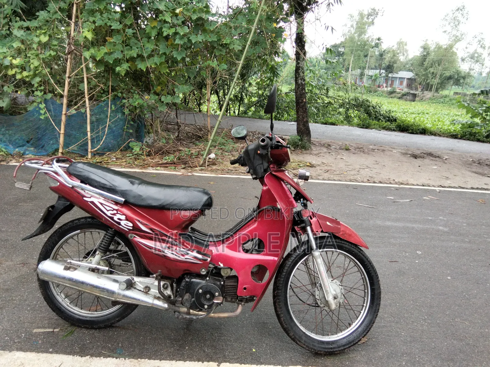 রানার বুলেট ১০০ ২০১৭ রেড