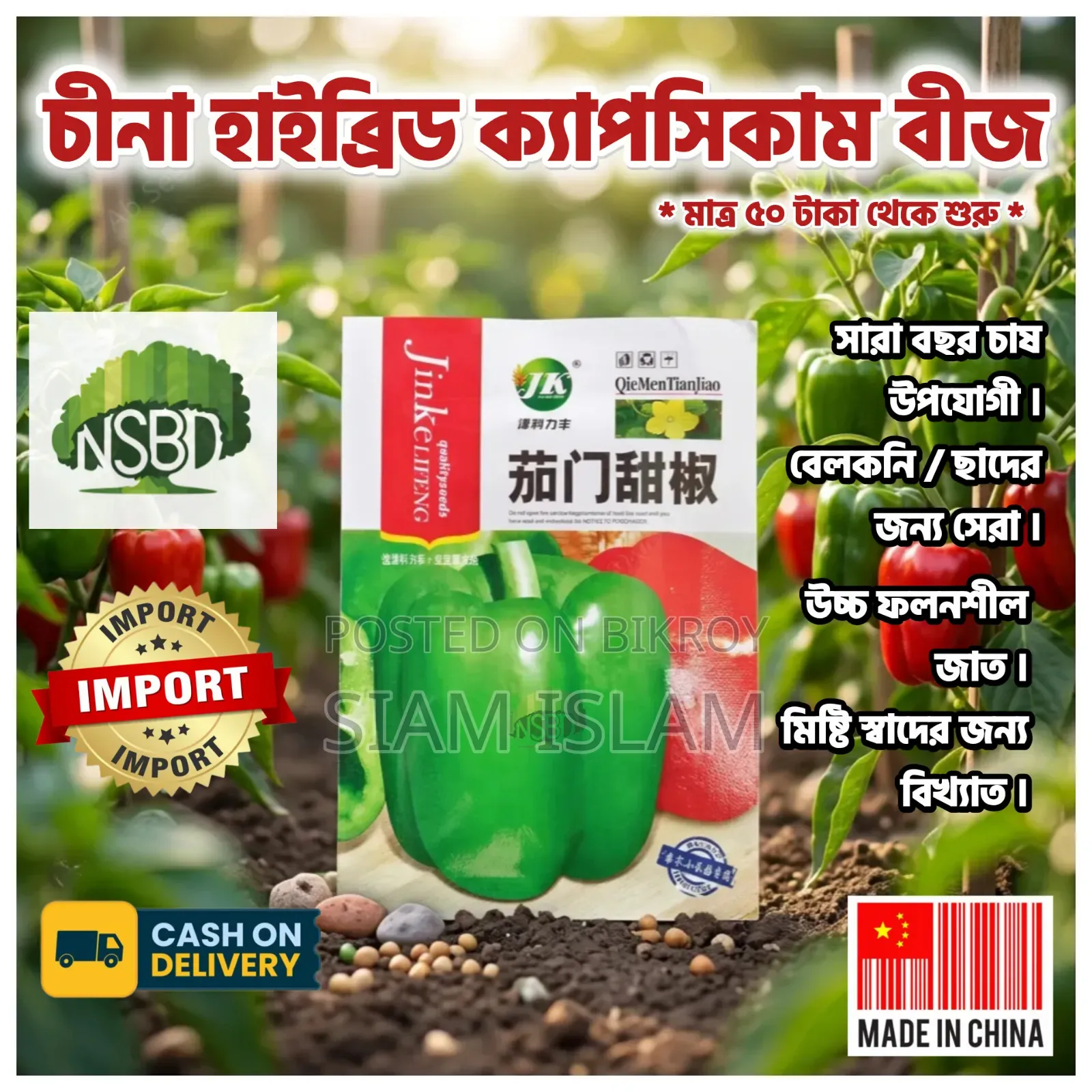 Capsicum / Capsicum Seed -(25-500) PCS Mixed Colour Capsicum Seed.