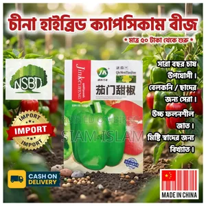 Capsicum / Capsicum Seed -(25-500) PCS Mixed Colour Capsicum Seed.