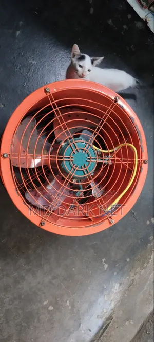 Gez Fan 18 Inch