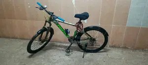 Foster Gear Cycle