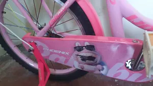 Girl Bicycle