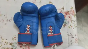 বক্সিং গ্লাভস