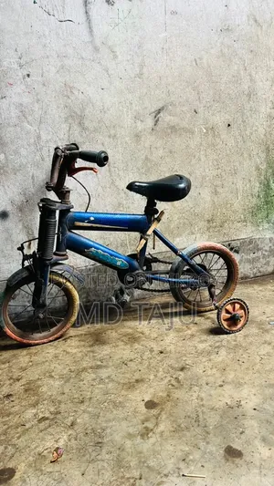 টিউবলেস বাচ্চা সাইকেল