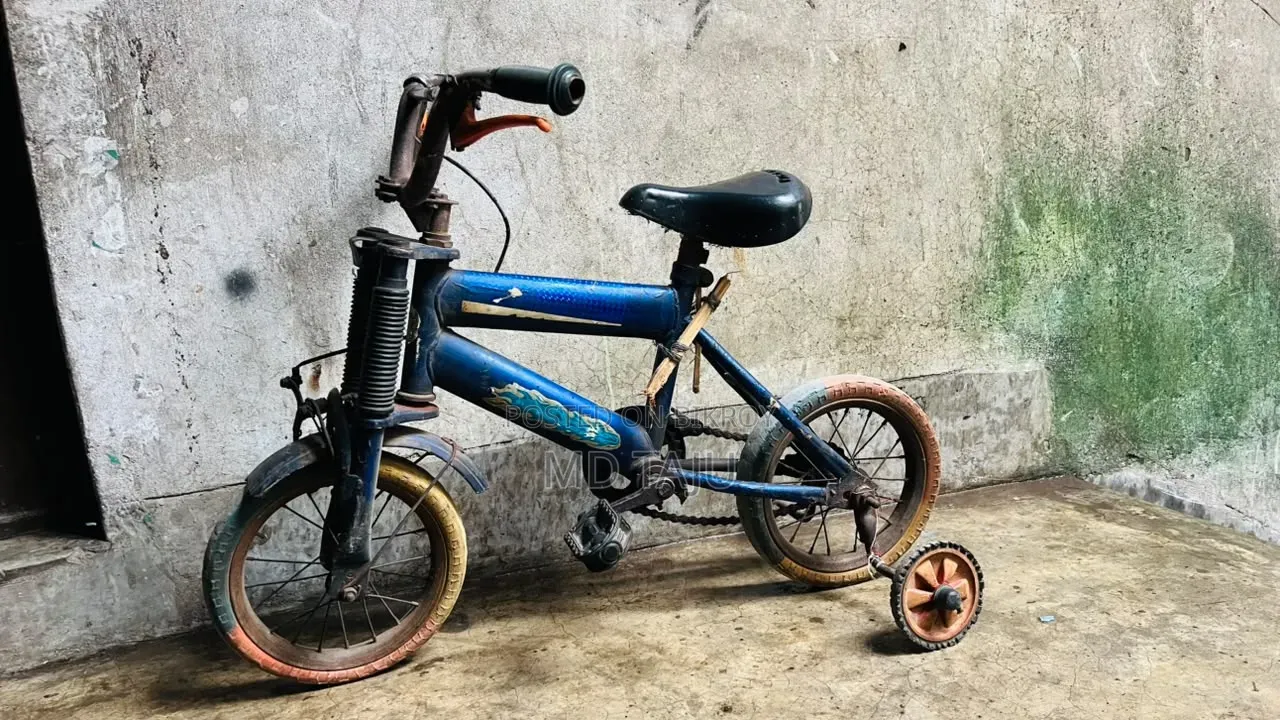 টিউবলেস বাচ্চা সাইকেল