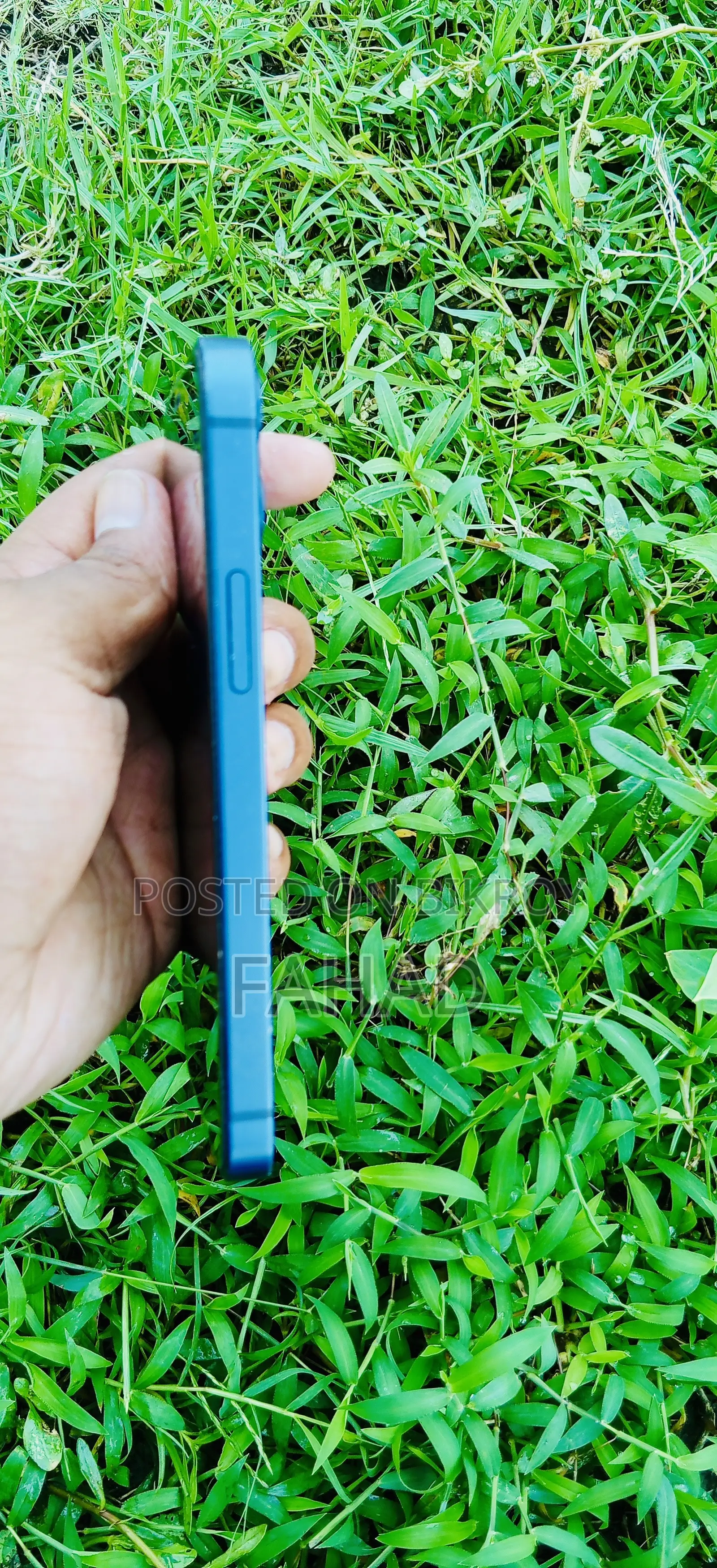 Apple iPhone 12 mini 64 GB Blue