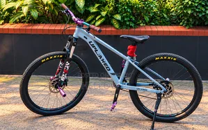Stunt Cycle