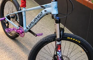 Stunt Cycle