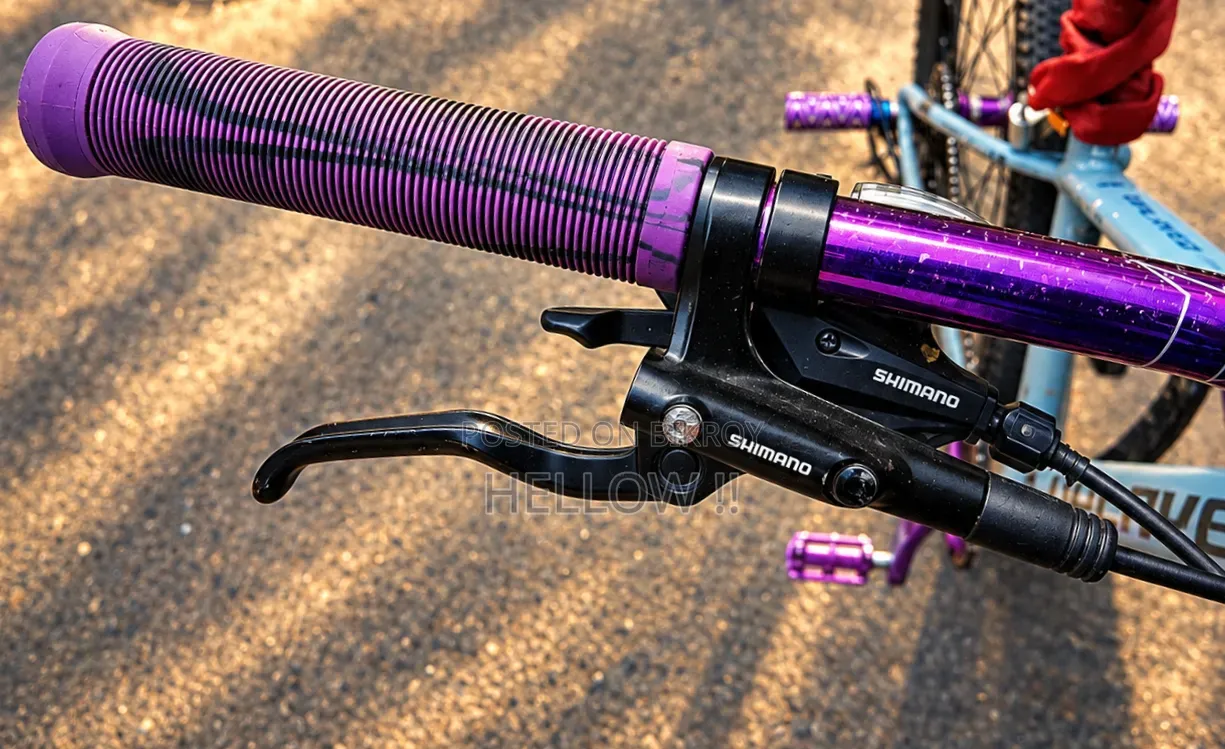 Stunt Cycle