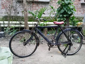 সাইকেলটি সেল হবে