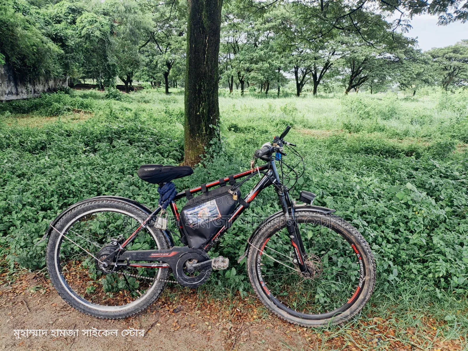 Electric Cycle, runs 35 km, new motor new battery Oil Brake