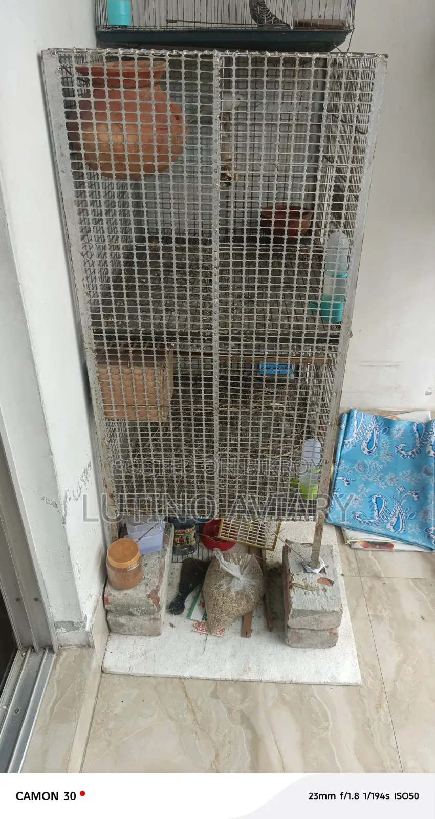 Bird Cage