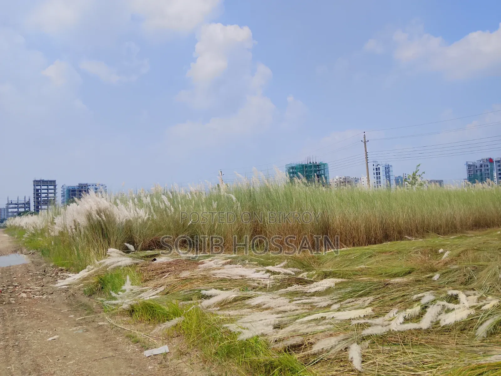 Bashundhara, I-Extension Block 3+3=6 Katha South-facing Plot Urgent Sale.