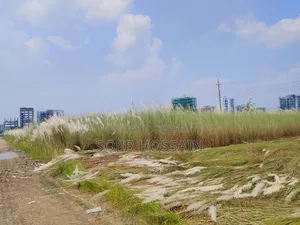Bashundhara, I-Extension Block 3+3=6 Katha South-facing Plot Urgent Sale.