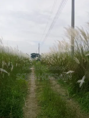 Bashundhara, I-Extension Block 3+3=6 Katha South-facing Plot Urgent Sale.