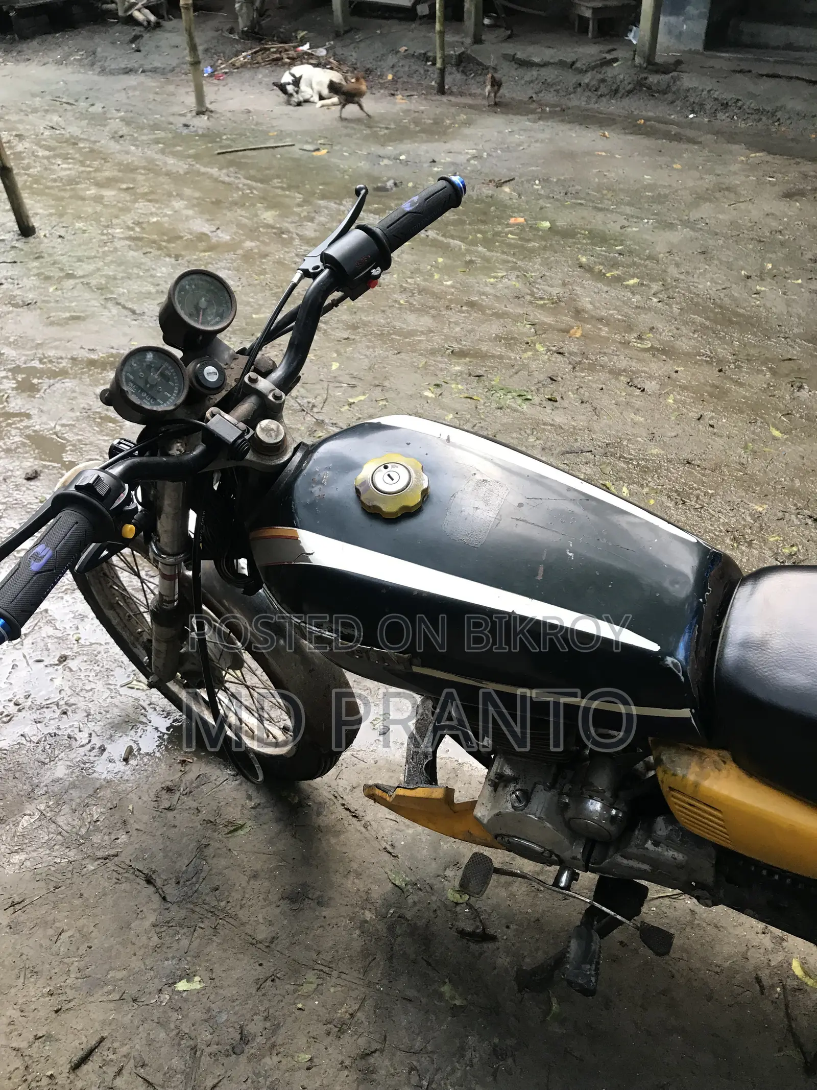 দায়াং ডিওয়াই১০০-এ ২০১৪ অরেঞ্জ