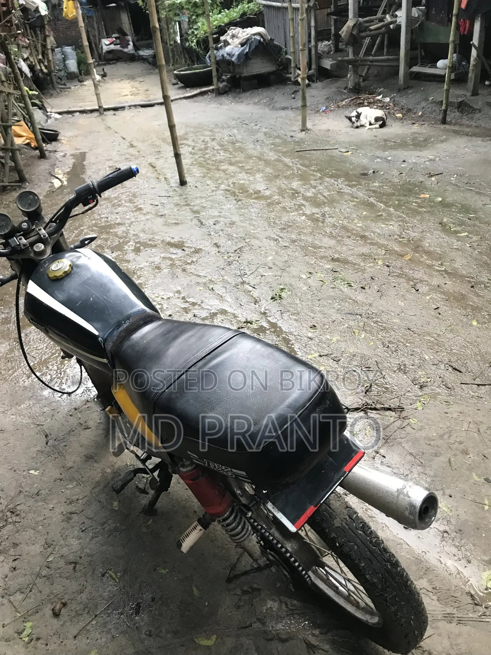 দায়াং ডিওয়াই১০০-এ ২০১৪ অরেঞ্জ