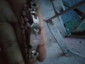 ভালো কোয়ালিটি স্টিলের ব্রেসলেট