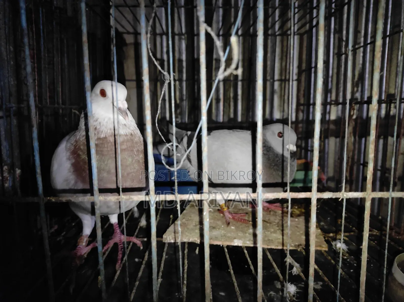 For Sale