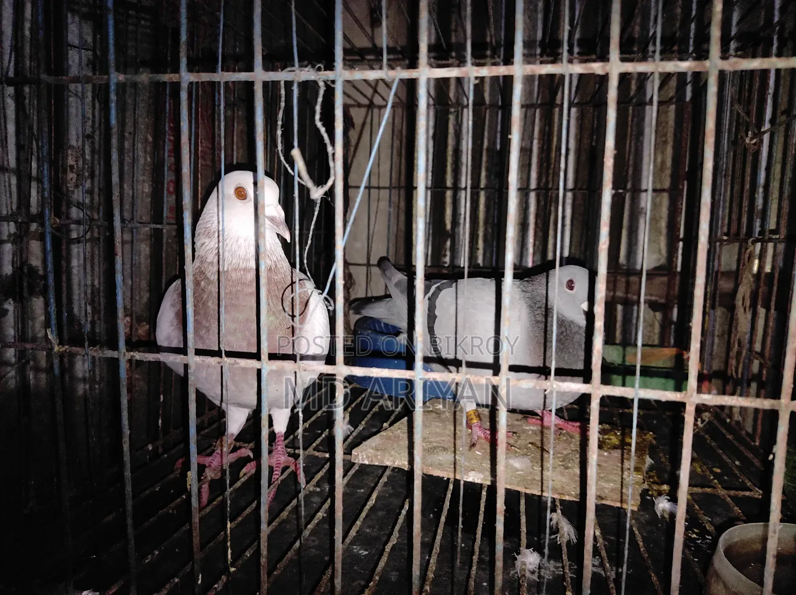 For Sale