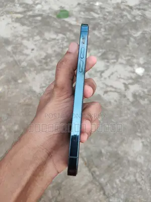 অ্যাপল আইফোন ১২ প্রো ৫১২ জিবি নীল