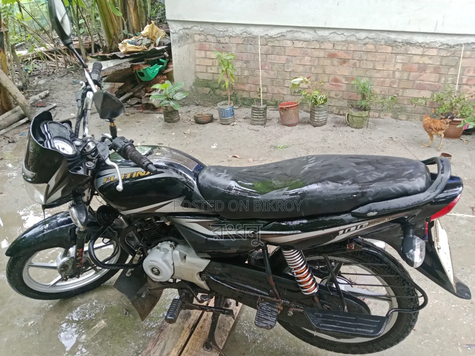 বাাজাজ প্ল্যাটিনা ১০০ ২০১৯ কালো