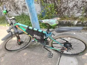 E Bike Full Package Sell 15AMH Battery