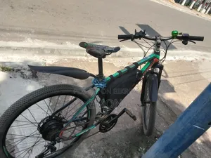 E Bike Full Package Sell 15AMH Battery