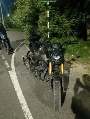 হিরো এক্সট্রিম ১৬০আর ৪ভি ২০২৬ গ্রে