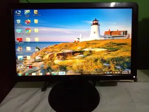 Dell 19” Widescreen Flat Panel Monitor