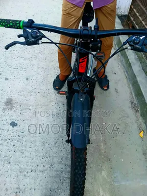 সিরিয়াস সাইকেল