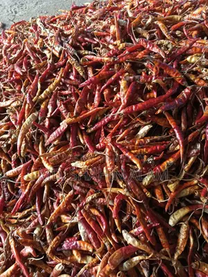 Dried Chili
