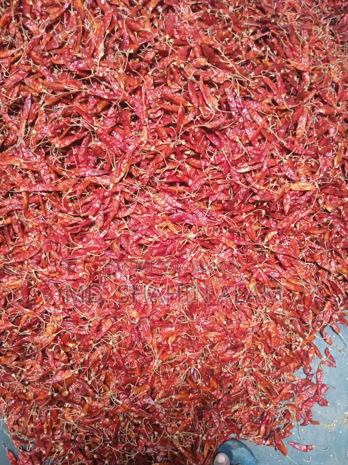 Dried Chili