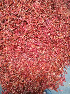 Dried Chili