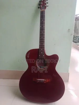 NM Signature Acoustic Guitar