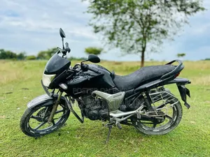 হিরো হাংক ২০০৮ ব্ল্যাক
