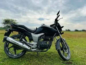 হিরো হাংক ২০০৮ ব্ল্যাক