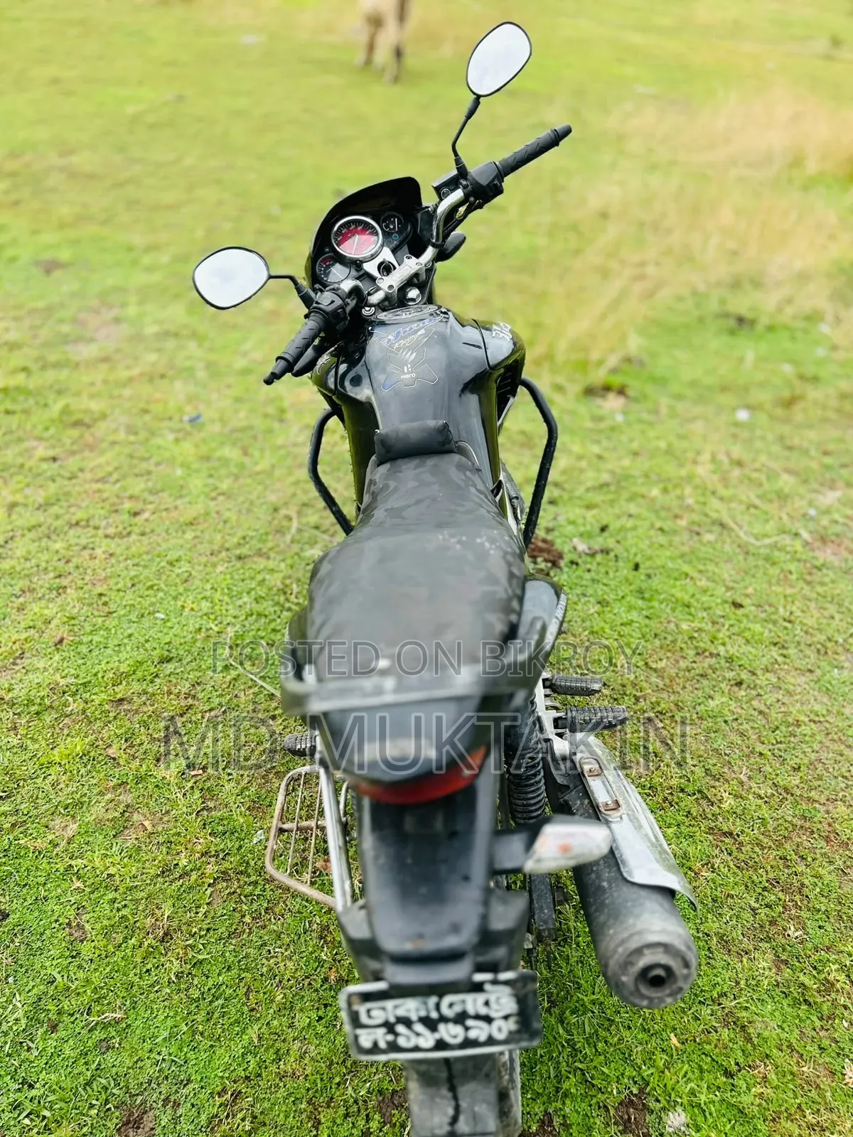 হিরো হাংক ২০০৮ ব্ল্যাক