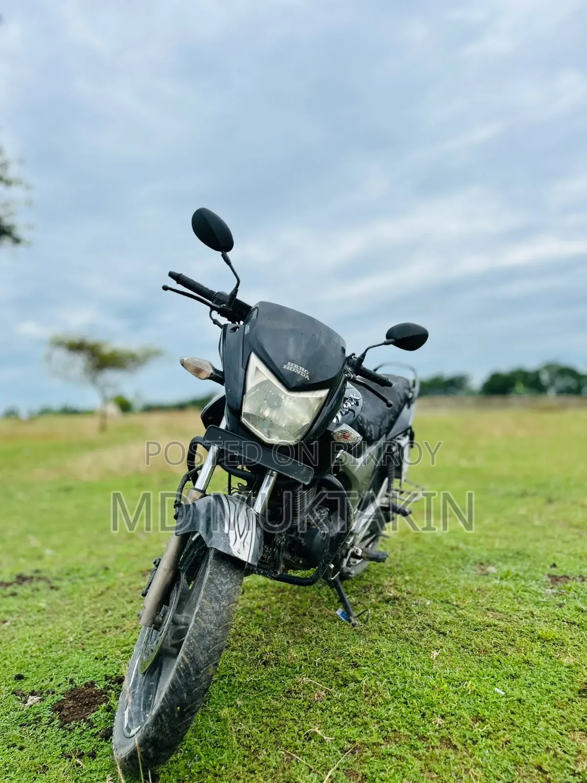 হিরো হাংক ২০০৮ ব্ল্যাক