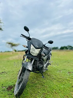 হিরো হাংক ২০০৮ ব্ল্যাক