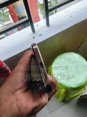 অ্যাপল আইফোন ১৬ প্রো ম্যাক্স ২৫৬ জিবি