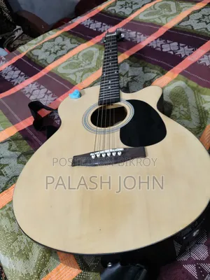 Acoustic Guitar