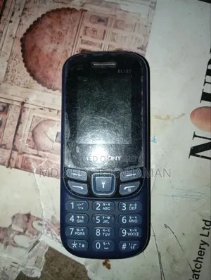 সিম্ফনি বিএল১২৫ পার্পল