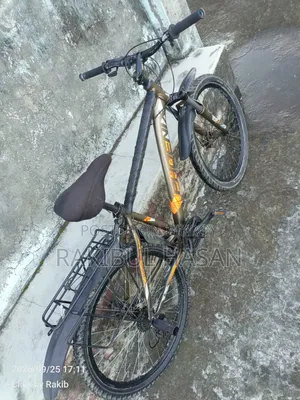 Phoenix Gear Cycle