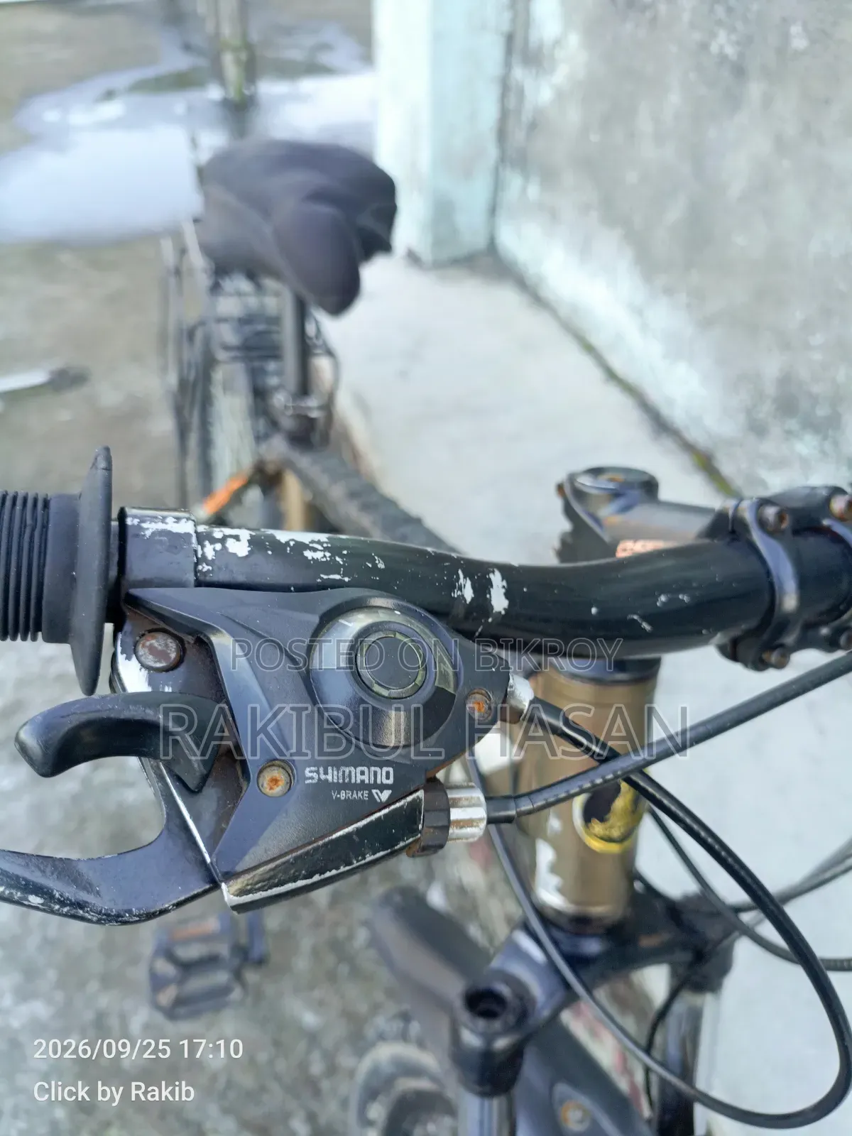 Phoenix Gear Cycle