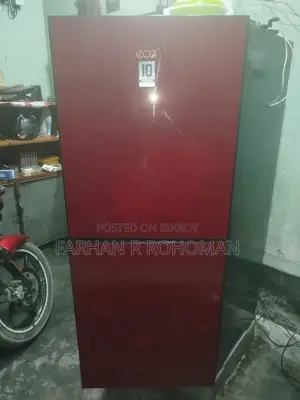 LG Butterfly Fridge